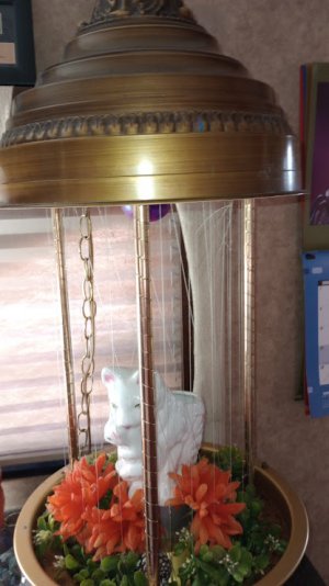 My awesome Rainlamp.jpg