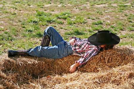 hit the hay4.jpg