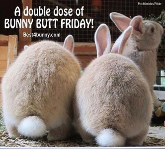 butt_friday.jpg