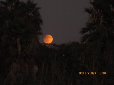 IMG_5186.JPG