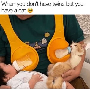 catandbabyfeeding.jpg