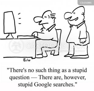 stupidgooglesearches.jpg
