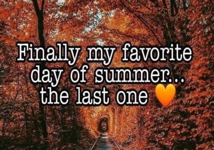 summer.jpg