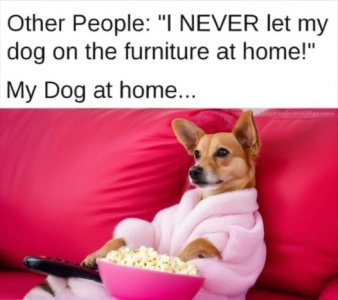 FB_IMG_1726866002990.jpg