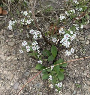 IMG_6015.jpeg