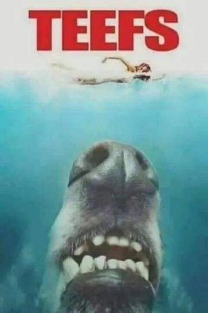 0.jpg