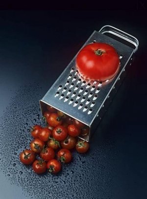 460651030_850403153915033_3203350214410198532_n.jpg