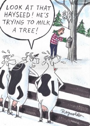milkatree.jpg
