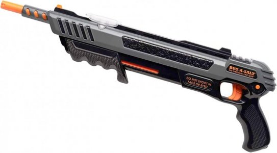 salt gun bug killer.jpg