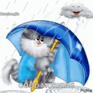 2c5bfabc9cfe12b334c7f38c61c7de0e.gif