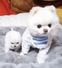 a669d730b7c5138ccd7bfb73cc898fd5.gif