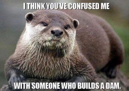 confusedme.jpg