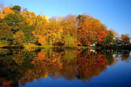 autumn lake.jpg