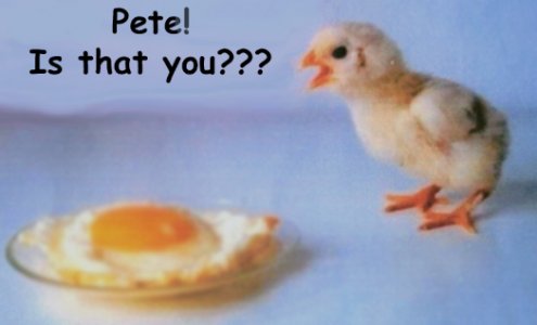 chicken-egg2.jpg