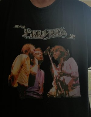 bee gees.jpeg