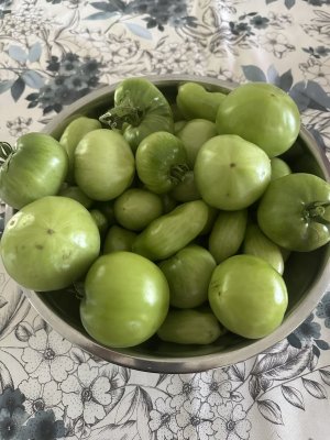 IMG_6002.jpeg