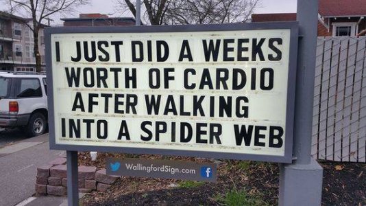 69177315_2502976346392346_3572646035530448896_n.jpg 69177315_2502976346392346_3572646035530448896_n.jpg