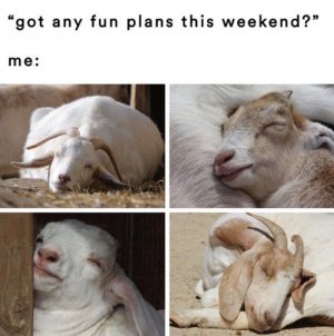 weekendplans.jpg