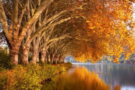 autumn923.jpg