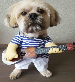 dog-funny5.jpg