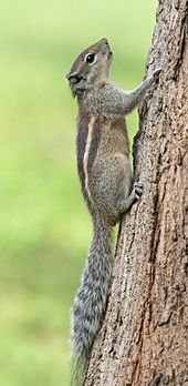 IMG_1541.jpeg