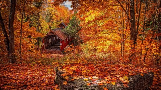 autum bridge.jpg