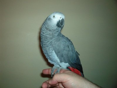 Kizzy 1.jpg
