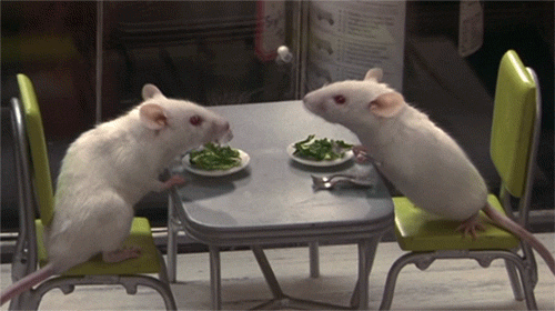 mice.gif