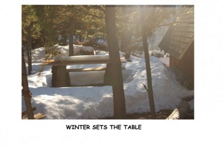 WINTERTABLE.jpg