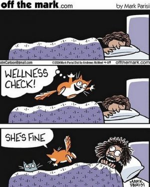 wellnesscheck.jpg