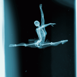 0.gif 0.gif