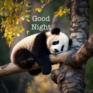88ddffd08db2c778f84bf4b08d266be7.jpg
