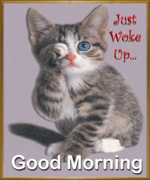 good-morning-icegif-30.gif
