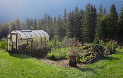 Side Garden.JPG