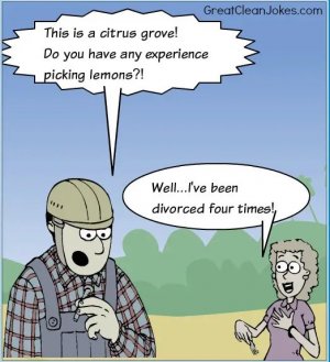 pickinglemons.jpg