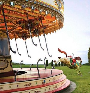 carousel.jpeg