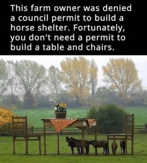horseshelter.jpeg