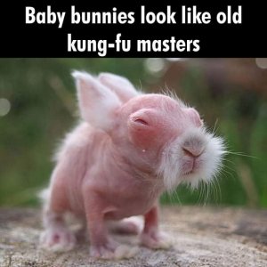 87d26e419c3c0a640cd58514142e8548.jpg