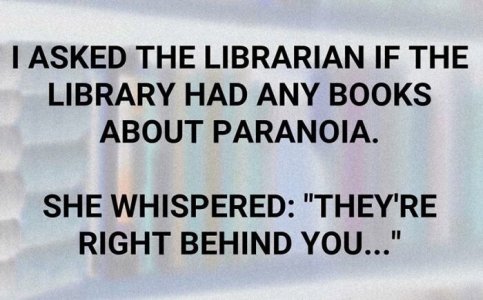 amusing-unappreciated-puns-66ed1520a97cd__700.jpg