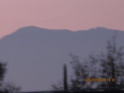 IMG_5379.JPG