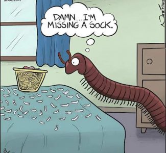 Multi socks.jpg