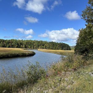 IMG_6086.jpeg