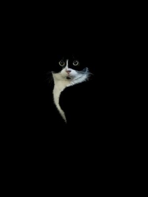 goodimages11.jpeg