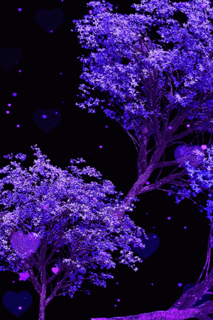 tumblr_aa912aa7cb58b3bf4e833ea3c76a47b6_76c61b23_500.gif.gif