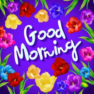 a-good-morning-message-flower-greeting-vector-8446424.jpg