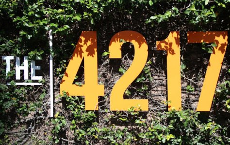 Number 4217 @.jpg