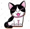 cat happy b.jpg