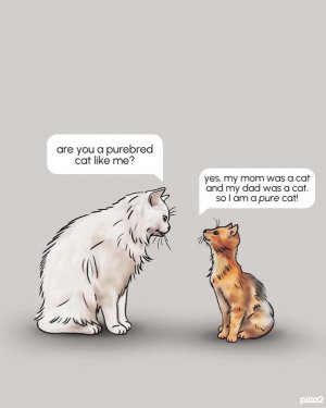 1000005618.jpg
