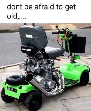 greenF.jpg