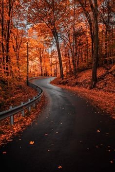8a67b7c5387430d87b459fd5b1354ea4.jpg